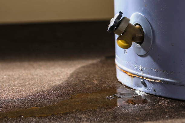 Best Water damage restoration specialists  in Park City, MT