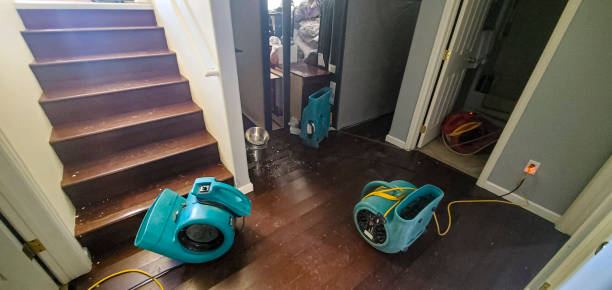 Best Water damage restoration process  in Park City, MT