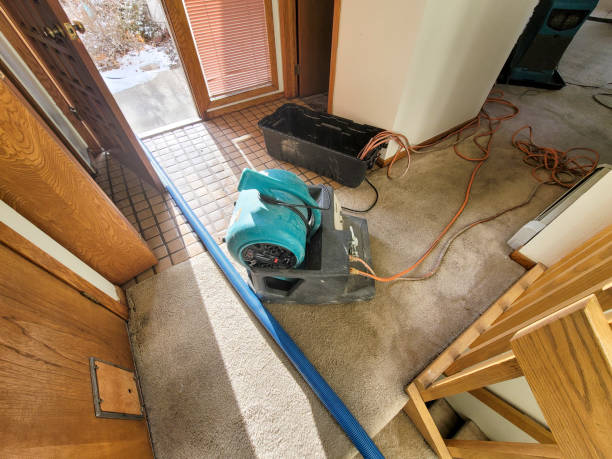  Park City, MT Water damage restoration Pros
