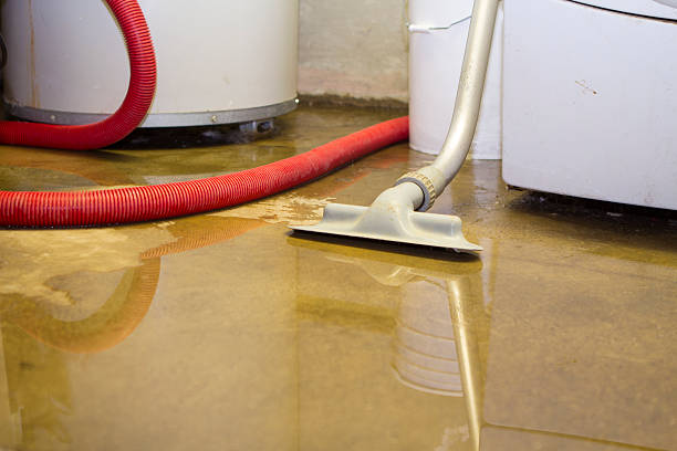 Best Commercial water damage restoration  in Park City, MT