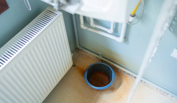 Best Carpet water damage restoration  in Park City, MT