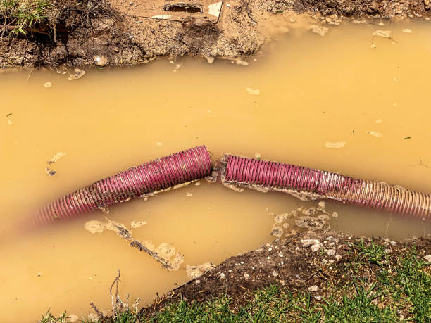 Best Water damage cleanup near me  in Park City, MT