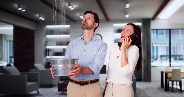 Best Water damage cleanup near me  in Park City, MT