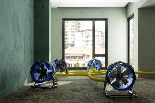 Best Water damage contractors near me  in Park City, MT